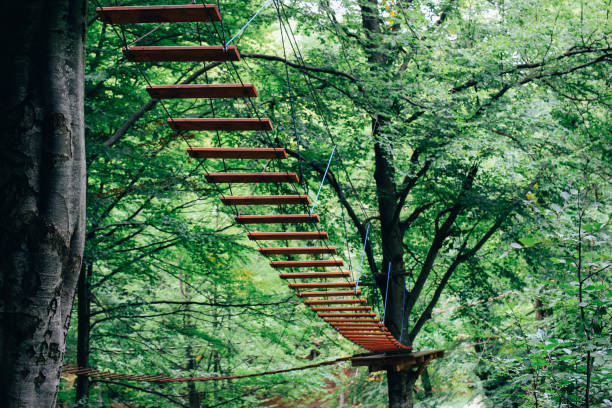Extreme rope ladder fixed on high tree in adventure park