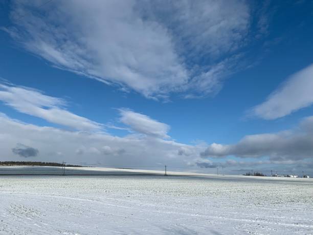 istock Winter landscape covered in snow 1295472760