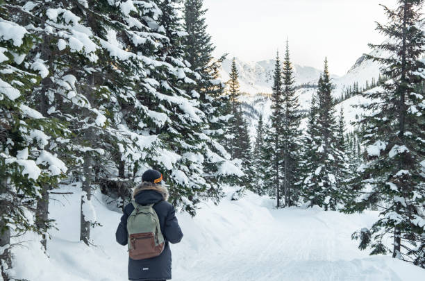 istock Tourist walking on road in winter nature 1295472786
