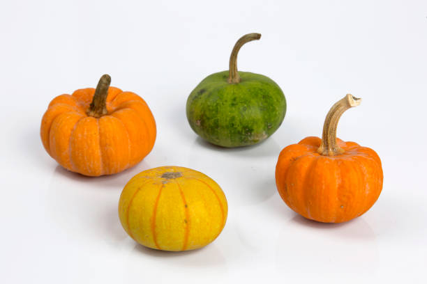 Small pumpkins of different colors isolated on white background. Foods, fresh vegetables, recipe, Halloween and Thanksgiving concepts. Horizontal close-up.
