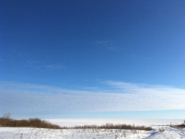 Snow fields and thickets with a blue sky