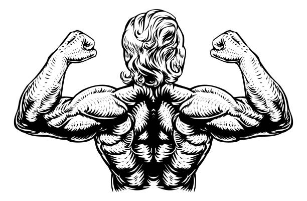ilustrações de stock, clip art, desenhos animados e ícones de back muscles bodybuilder strong arms concept - human muscle human arm muscular build body building