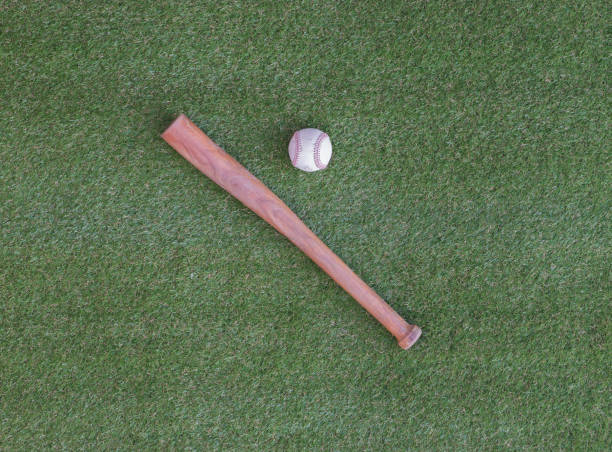 istock baseball bat on a green lawn 1295478074