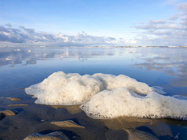 Ameland, the Netherlands - January 8, 2021: Sea foam washed up on the beach, a natural phenomenon in which algae cause foam in the seawater in the surf.