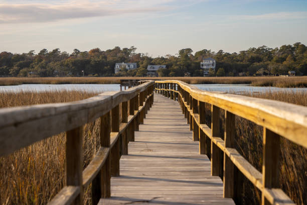 wood dock am south carolina river bei sonnenuntergang - southern charm stock-fotos und bilder