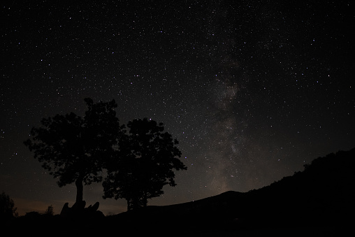 Trees and rocks silhouetted against the night sky with the Milky Way nearly vertical.