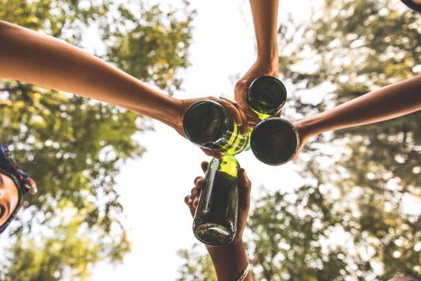Directly below shot of unrecognizable group of friends making a celebratory toast with beer during picnic outdoors.