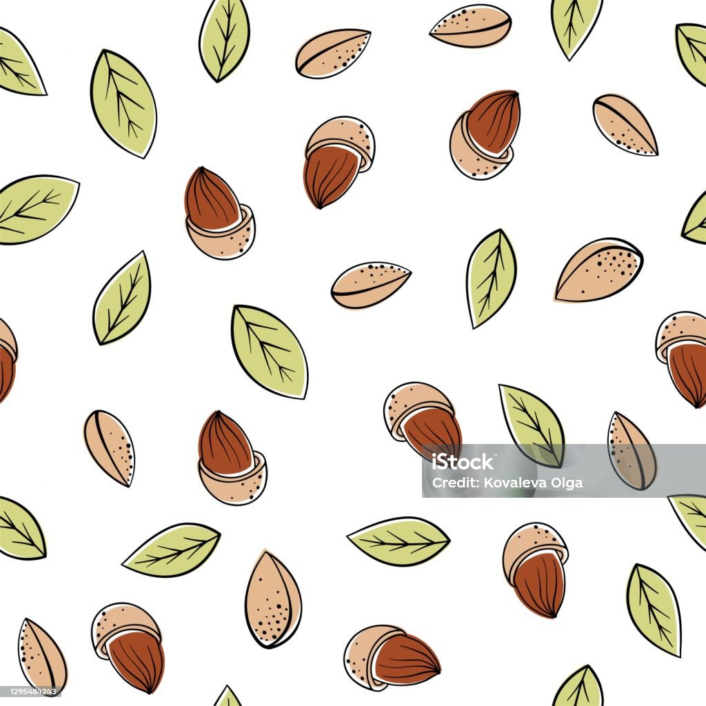 Abstract Pattern Nuts Hand Drawn Sketch Illustration Seamless Background Pattern Nuts Stock ...