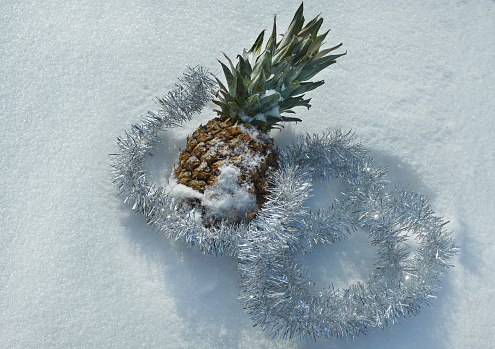 pineapple in the snow with Christmas tree tinsel