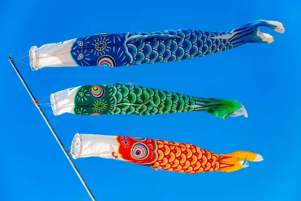 Carp-shaped colorful windsocks against clear blue sky