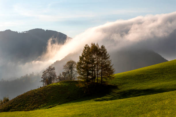 オーストリアのプレアスの秋 - european alps austria autumn colors ストックフォトと画像