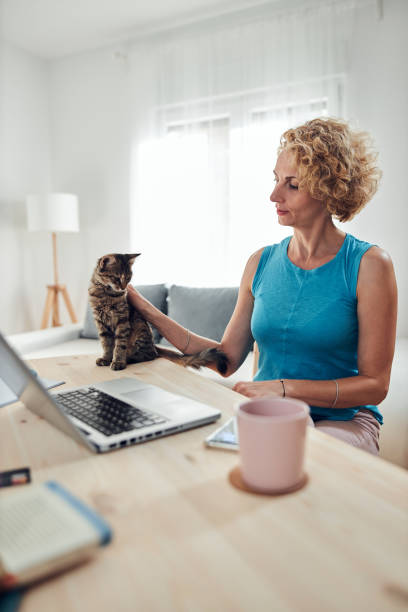 istock Woman working from home on a laptop / notebook with cat pet with her. 1295493002