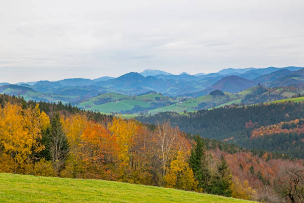 オーストリアのプレアスの秋 - european alps austria autumn colors ストックフォトと画像