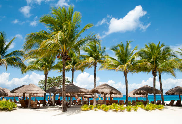 傘付きコスメルアイランドビーチ - cozumel ストックフォトと画像