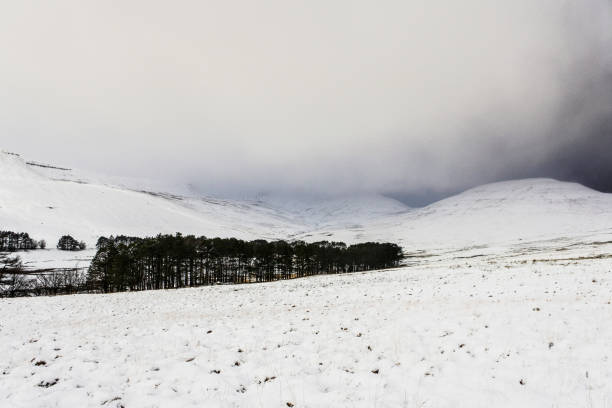 istock Winter snowfall in the Brecon Beacons, Wales, UK 1295495714