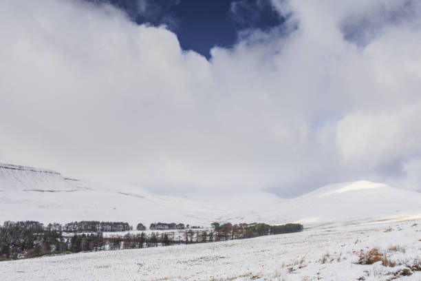 istock Winter snowfall in the Brecon Beacons, Wales, UK 1295495727
