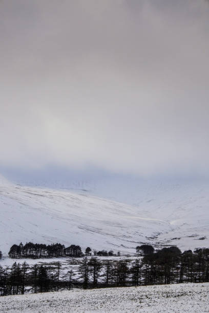 istock Winter snowfall in the Brecon Beacons, Wales, UK 1295496619