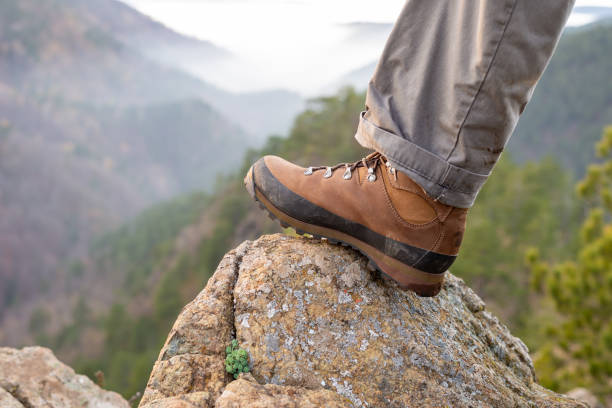 istock Hiking boot on a mountain top 1295496658