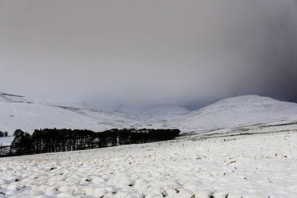 istock Winter snowfall in the Brecon Beacons, Wales, UK 1295496780
