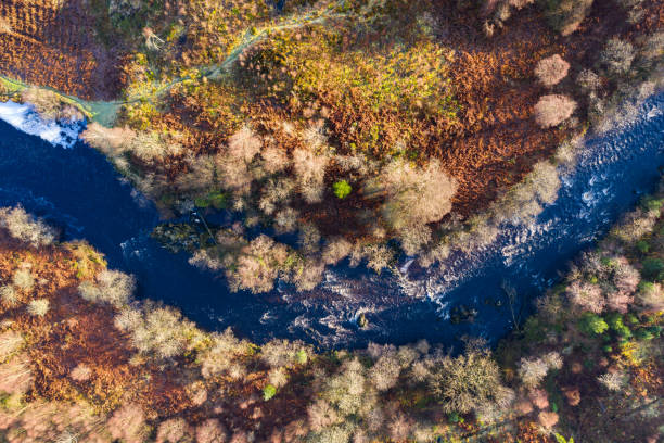istock The view from a drone looking straight down on a Scottish river flowing through an area of forest in Dumfries and Galloway on a winter morning 1295498054