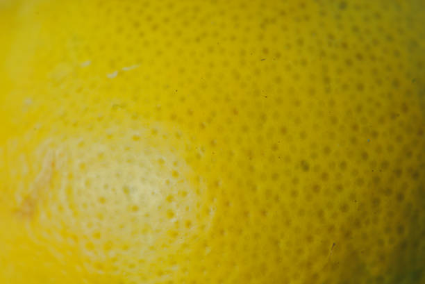 istock macro detail of lemon peel 1295498136