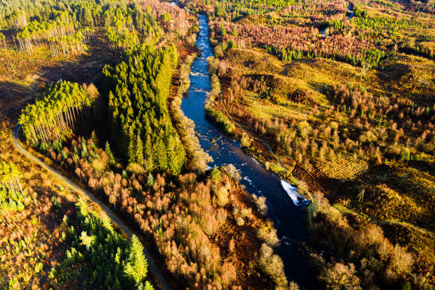 la vista aerea ad alto angolo di un fiume scozzese che scorre attraverso un'area di foresta a dumfries e galloway in una mattina d'inverno - galloway foto e immagini stock