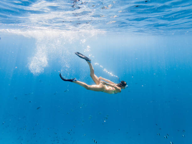 Woman dives in tropical sea, underwater shot She explores the reef around the atoll in the Maldives, people on vacations, she adventures underwater snorkeling images stock pictures, royalty-free photos & images