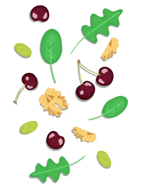 Vector illustration of vector illustration close up top view of fresh ingredients. Red cherry, salad leaves, walnuts, pistachio,