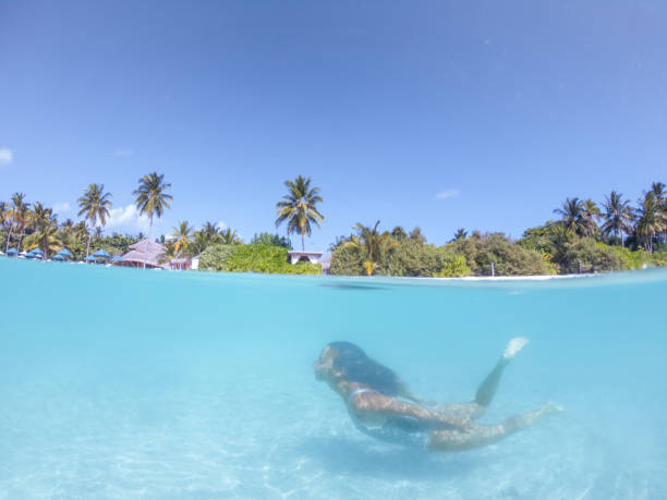 istock Woman dives in tropical sea, split screen underwater shot 1295502065