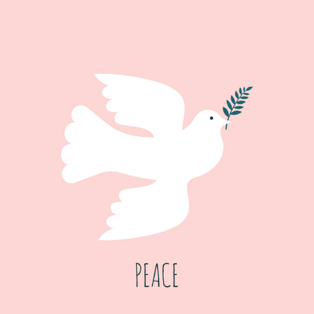 올리브 가지와 비행 비둘기의 실루엣. - symbols of peace illustrations stock illustrations