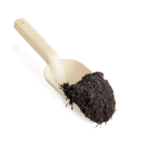 istock soil in a white scoop isolated close-up 1295502226