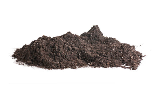 istock Pile soil is piled up closeup isolated on white. 1295502239