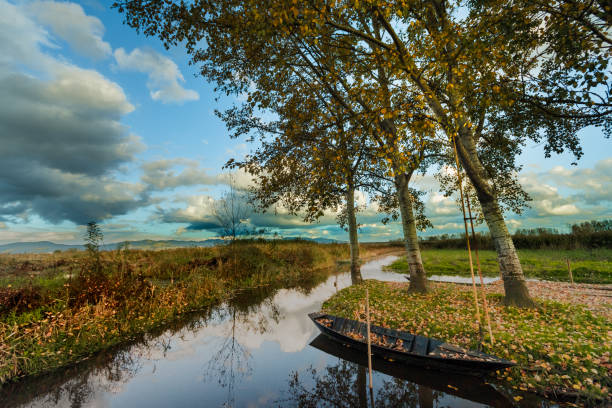typical landscapes of the Fucecchio Marshes, a large protected marshy area in Italy, in the Tuscany region