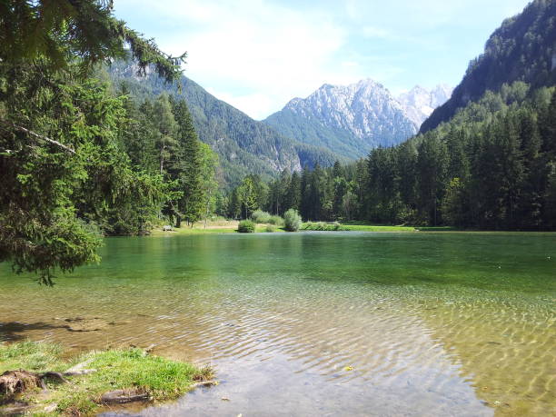 istock Alpine lake in Jezersko 1295503652