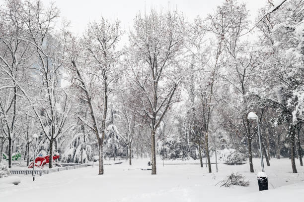 öffentlicher park unter dem schnee in madrid - snow park road cold stock-fotos und bilder