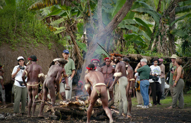 Dani Tribe Pig Roast Wamena, West Papua, Indonesia, October 4, 1999.  The traditional life of Indonesia's Dani tribe found in West Papua, originally known as Irian Jaya, in the highlands on the western side of island of New Guinea.  As one of the most untouched regions on the earth in 1999, the Dani tribe emerging from the Stone Age,  shared a pig feast with adventurous travelers.
Dani warriors adorned in feather headpieces and penis gourds prepare a traditional pig feast in Dani tribe village. Dani tribesman dressed in feathers  and penis gourds attend to roasting pig under ferns  in the ground as a village celebration of travelers and visitors. dani stock pictures, royalty-free photos & images