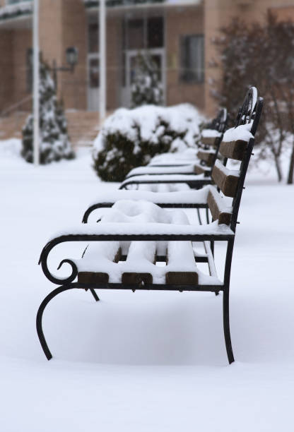 istock openwork benches in the park covered with snow 1295513142
