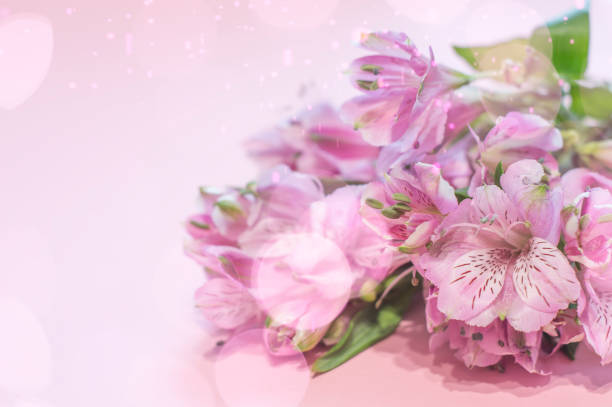 Closeup view of pink roses with flowers on background, fresh flowers texture for holiday