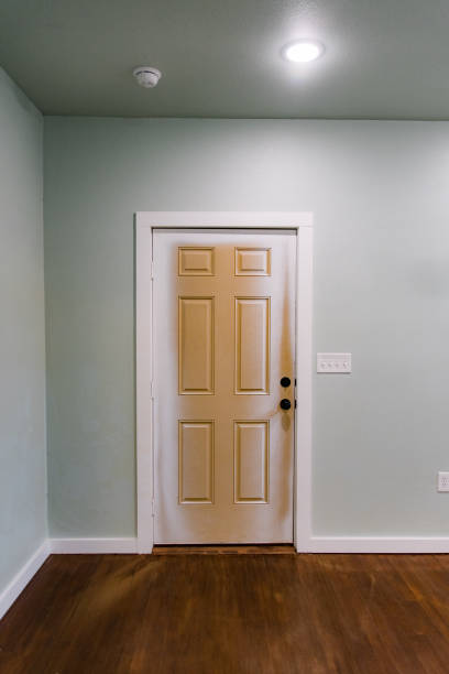istock Door in need of paint 1295514284