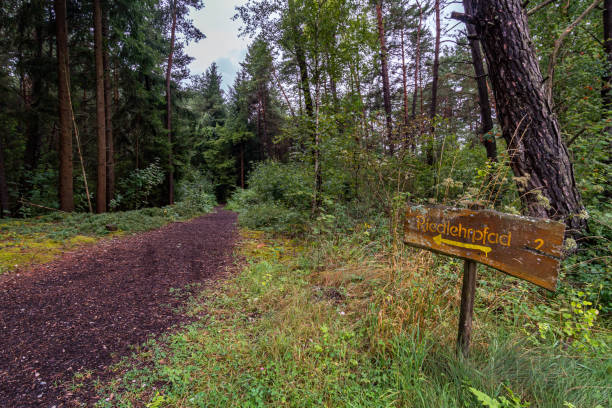 istock Nature reserve Wilhelmsdorf Pfrunger Ried in Upper Swabia 1295515398