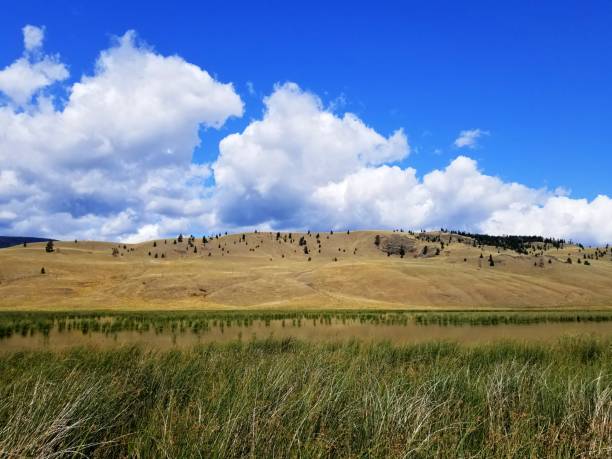 istock Beaver Ranch Flats grassland marsh and mountain. 1295515488