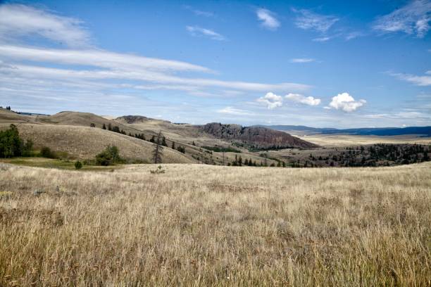 istock Upland grassland and mountains in autumn. 1295515538