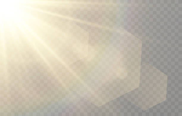 ilustraciones, imágenes clip art, dibujos animados e iconos de stock de luz dorada vectorial con deslumbramiento. sol, rayos del sol, amanecer, resplandor del sol png. destello de oro png, resplandor de la bengala png. - lens flare