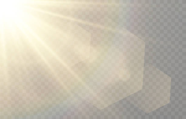Vector golden light with glare. Sun, sun rays, dawn, glare from the sun. Gold flare, glare from flare. Vector golden light with glare. Sun, sun rays, dawn, glare from the sun. Gold flare, glare from flare. Vector. sun sparkle stock illustrations