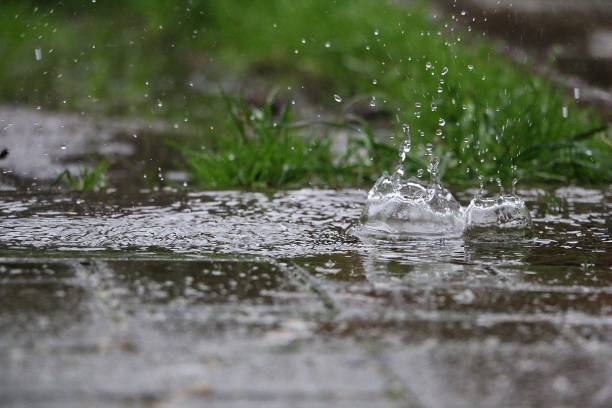 istock hard rain is splashing in a puddle on the street 1295523759