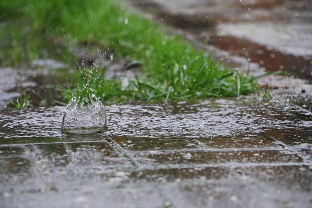 istock hard rain is splashing in a puddle on the street 1295523763