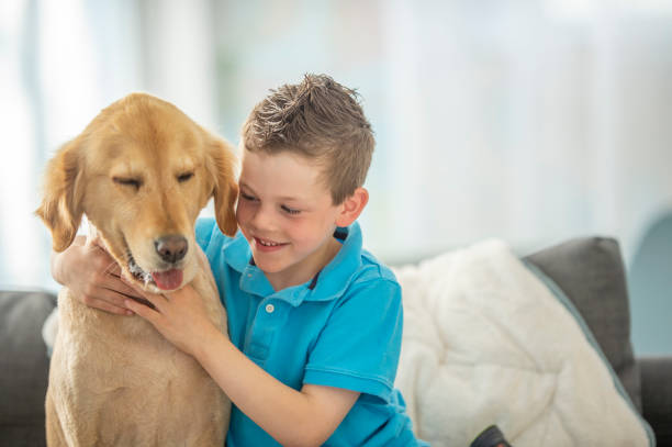 istock Dogs are family too! 1295529589