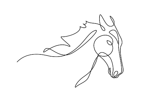 Horse portrait in continuous line art drawing style. Beautiful horse running minimalist black linear sketch isolated on white background. Vector illustration