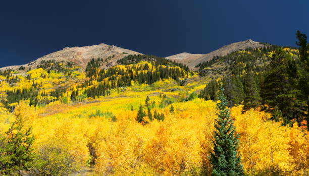 istock Autumn in the Rockies 1295531427
