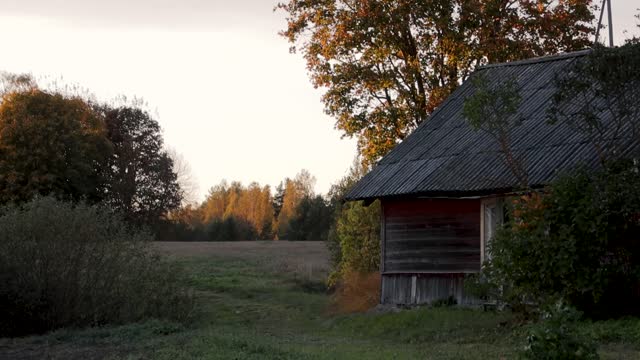 old abandoned farm